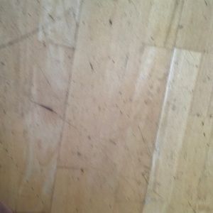 Meet your Posher, Riley